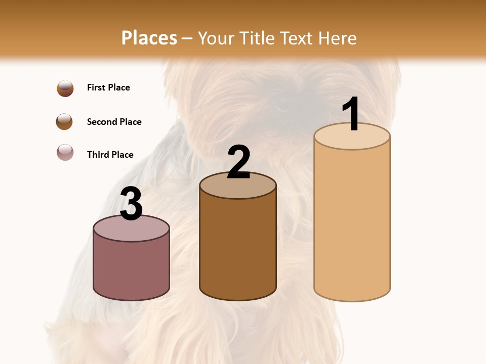 Cute Small Yorkshire PowerPoint Template