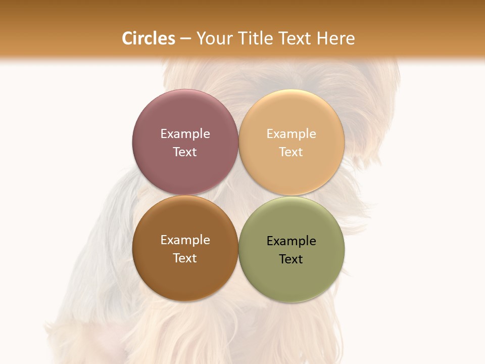 Cute Small Yorkshire PowerPoint Template