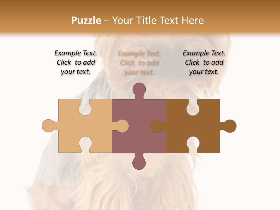 Cute Small Yorkshire PowerPoint Template