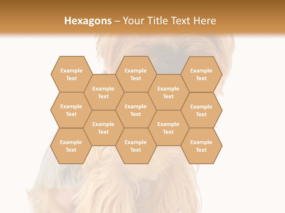 Cute Small Yorkshire PowerPoint Template