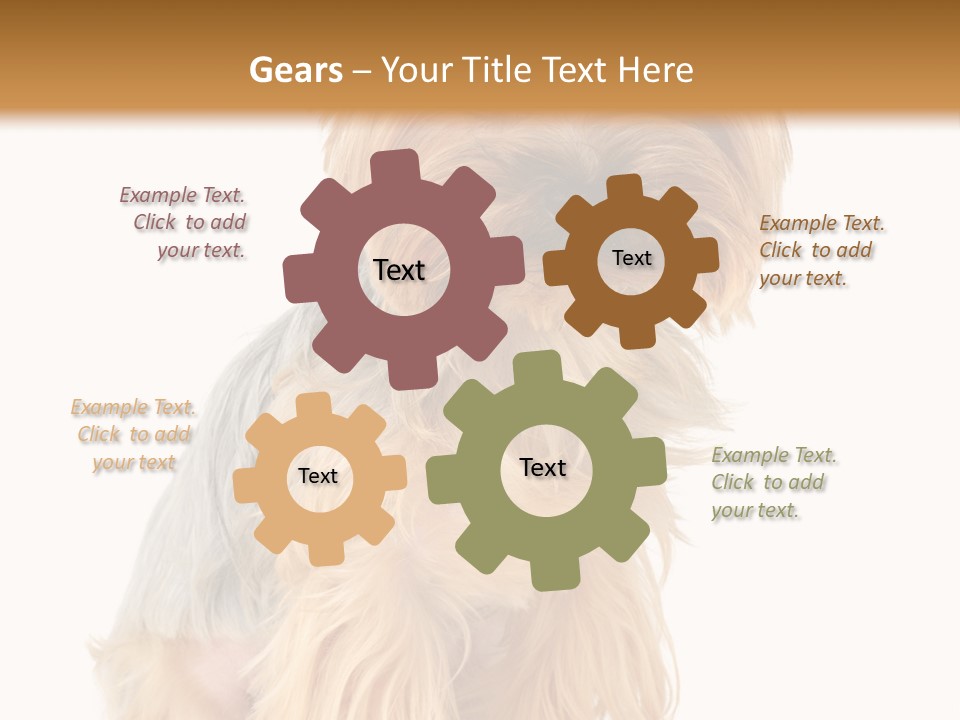 Cute Small Yorkshire PowerPoint Template
