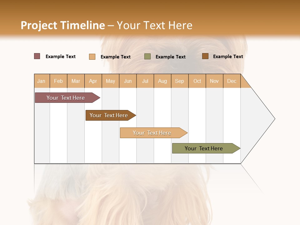 Cute Small Yorkshire PowerPoint Template