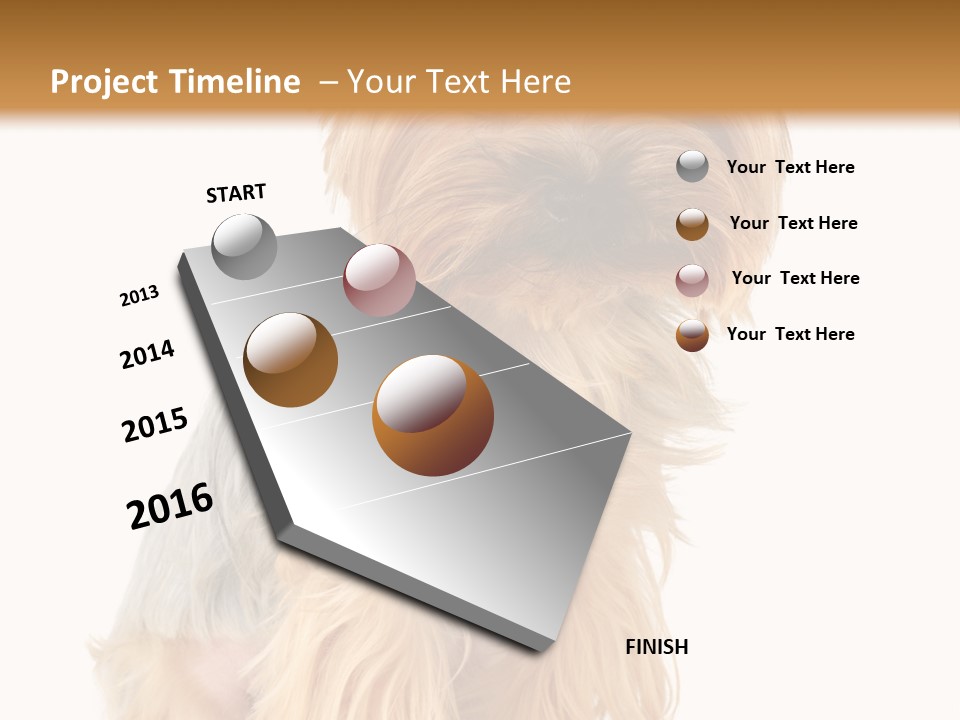 Cute Small Yorkshire PowerPoint Template