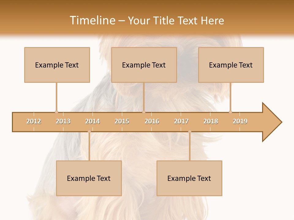 Cute Small Yorkshire PowerPoint Template