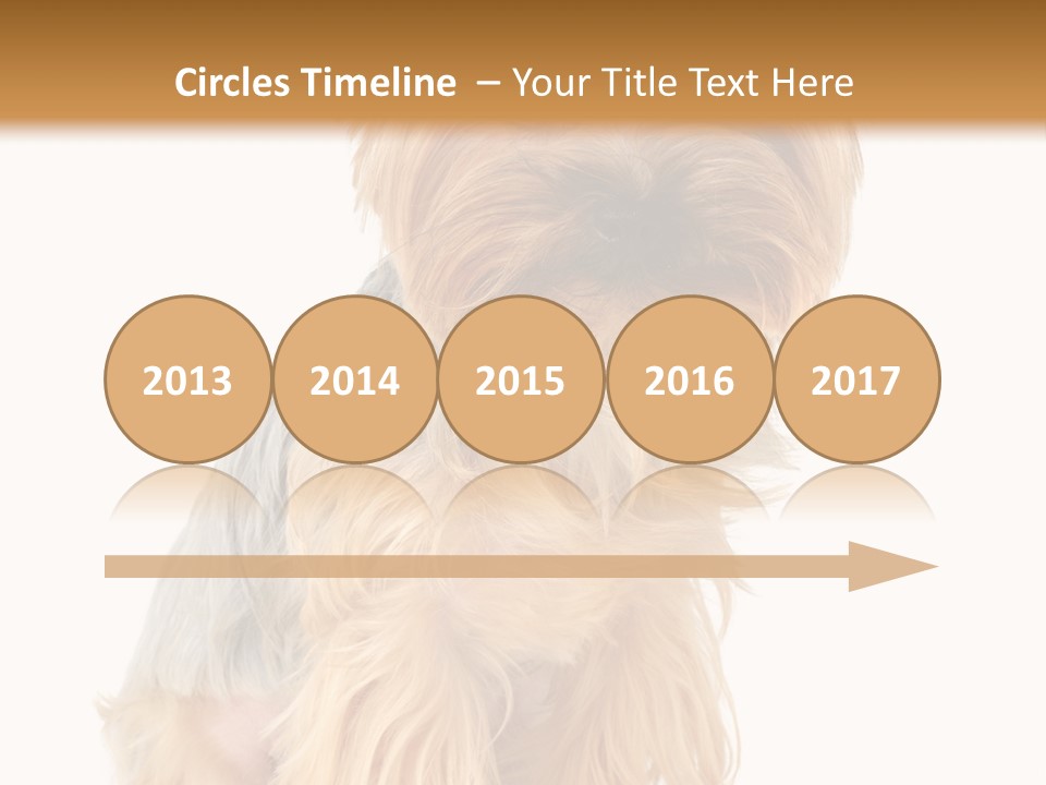 Cute Small Yorkshire PowerPoint Template