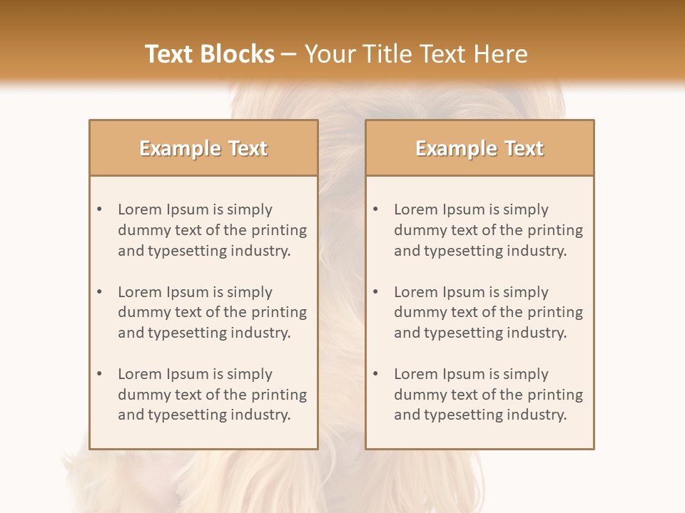 Cute Small Yorkshire PowerPoint Template