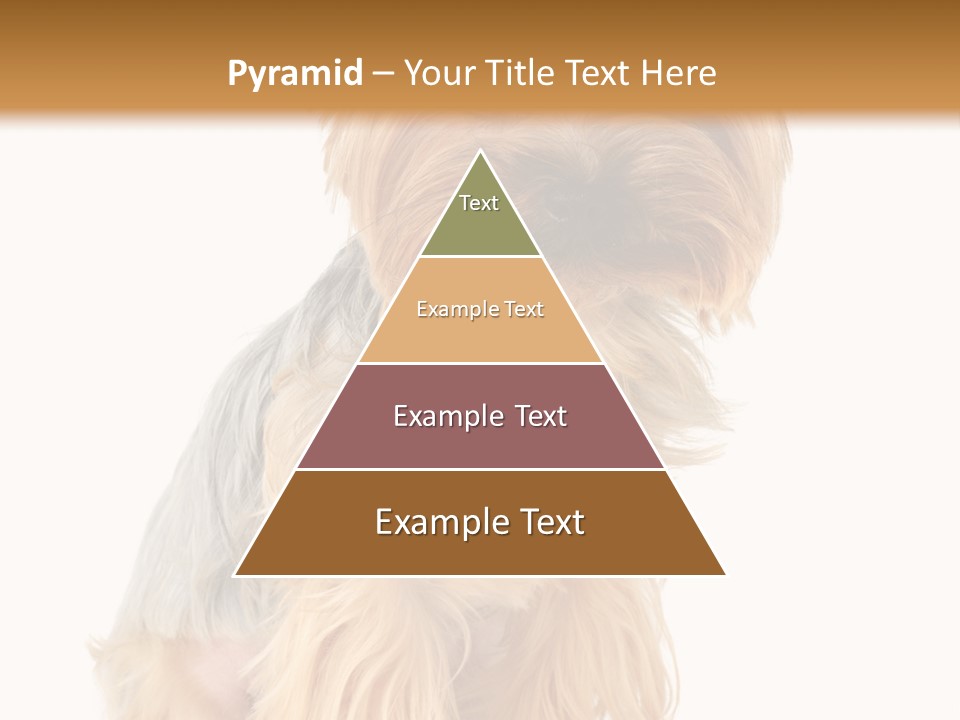 Cute Small Yorkshire PowerPoint Template