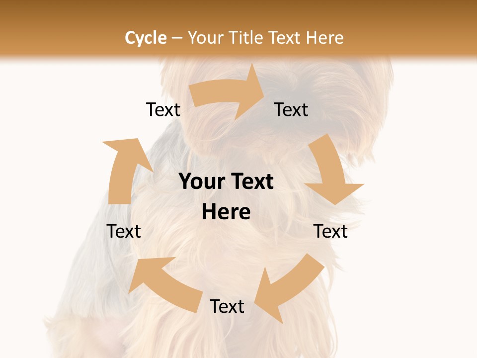 Cute Small Yorkshire PowerPoint Template