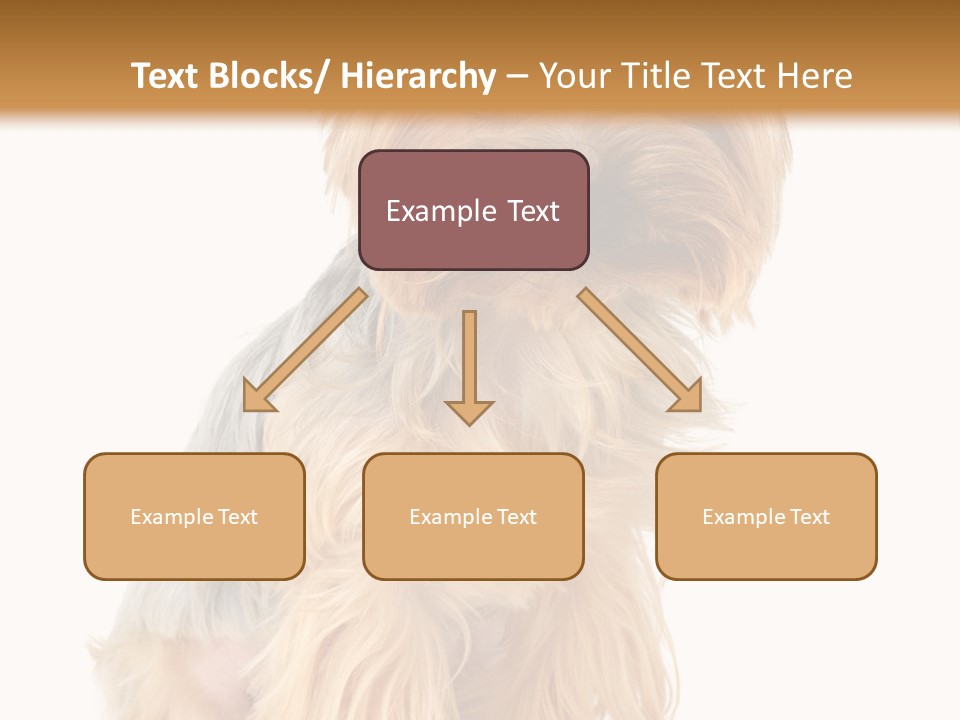 Cute Small Yorkshire PowerPoint Template