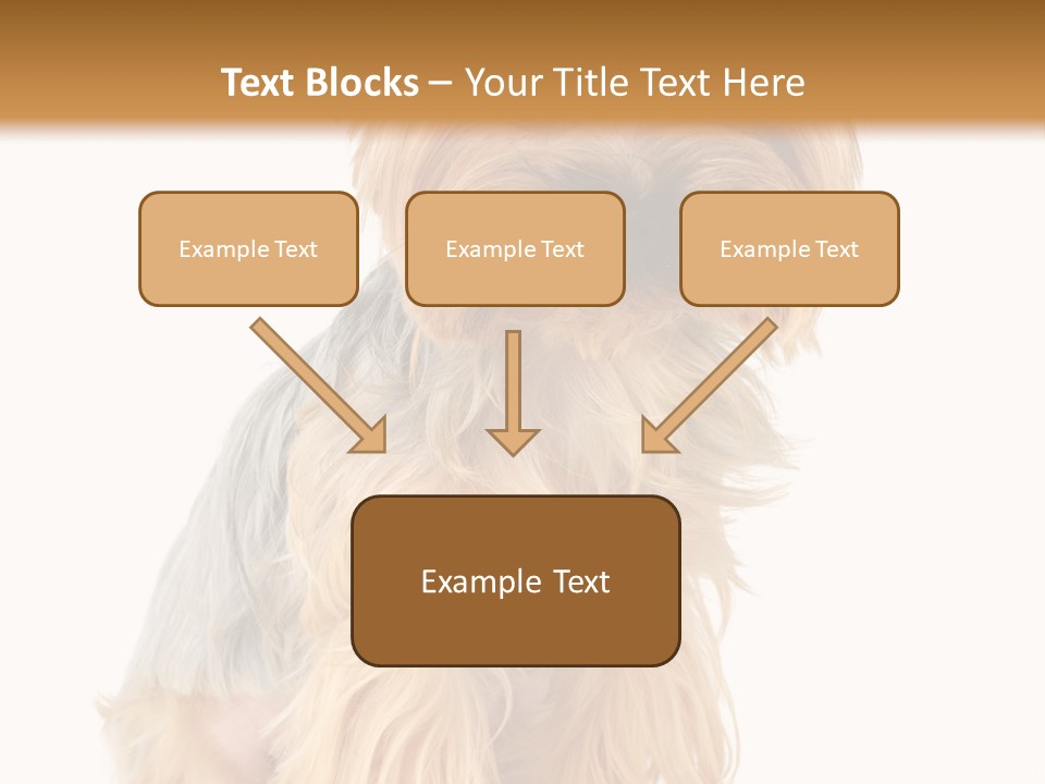 Cute Small Yorkshire PowerPoint Template