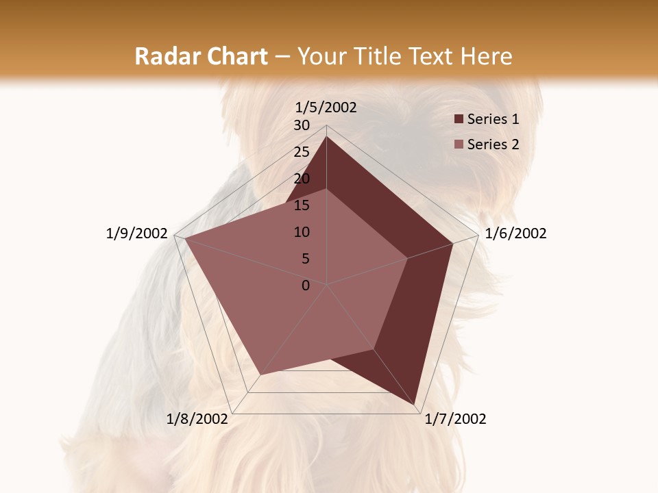 Cute Small Yorkshire PowerPoint Template