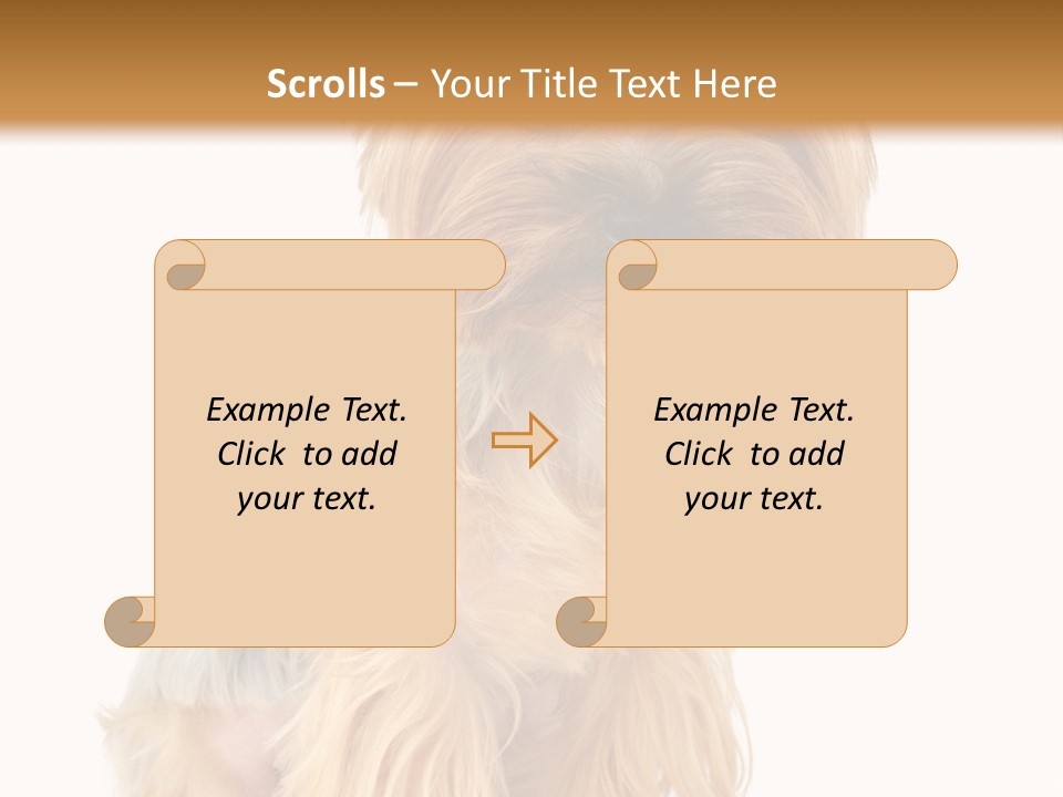 Cute Small Yorkshire PowerPoint Template