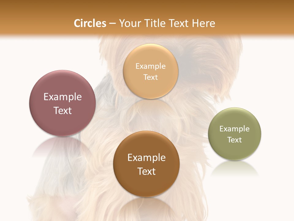 Cute Small Yorkshire PowerPoint Template