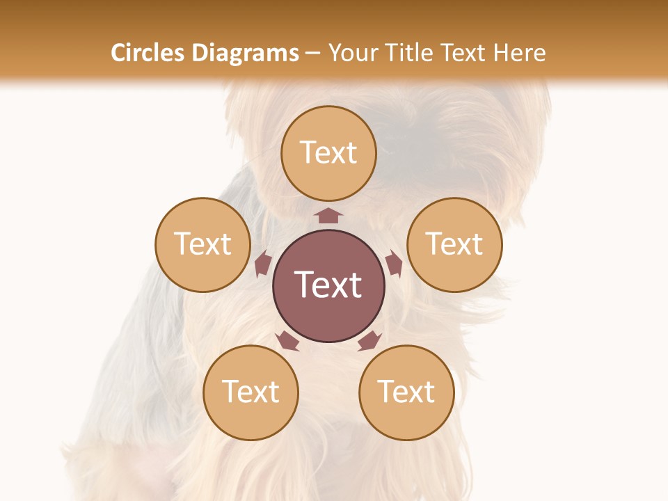 Cute Small Yorkshire PowerPoint Template