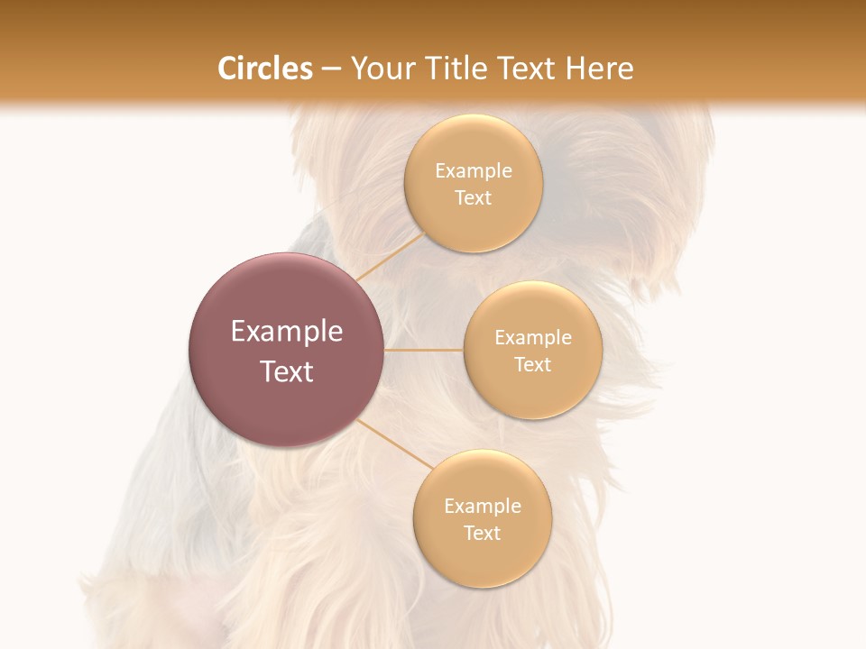 Cute Small Yorkshire PowerPoint Template