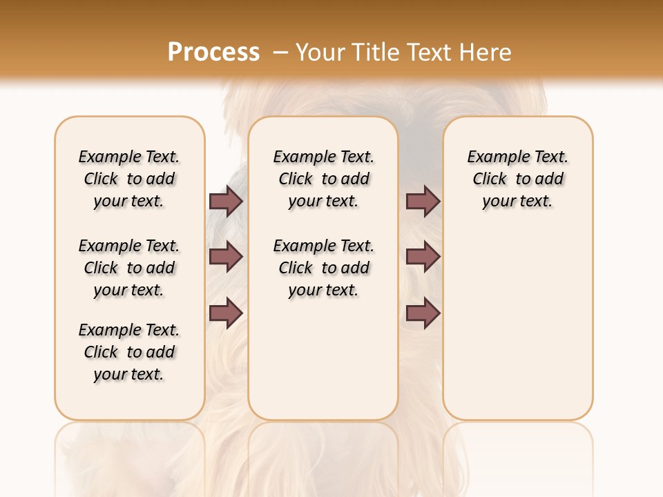 Cute Small Yorkshire PowerPoint Template