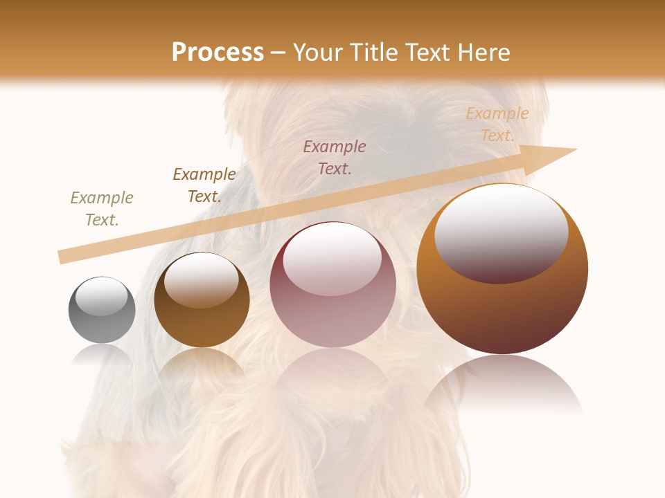 Cute Small Yorkshire PowerPoint Template