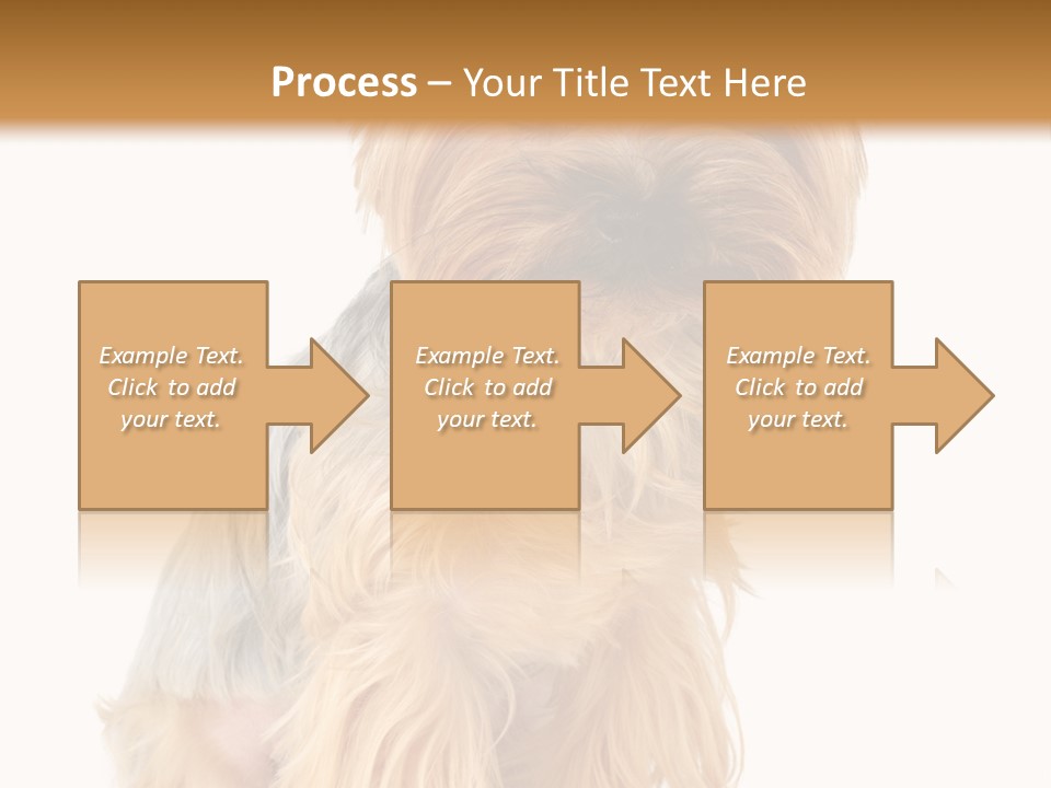 Cute Small Yorkshire PowerPoint Template