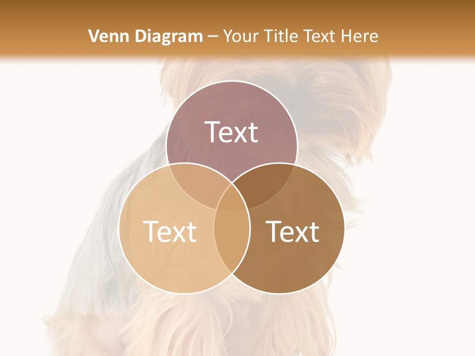 Cute Small Yorkshire PowerPoint Template