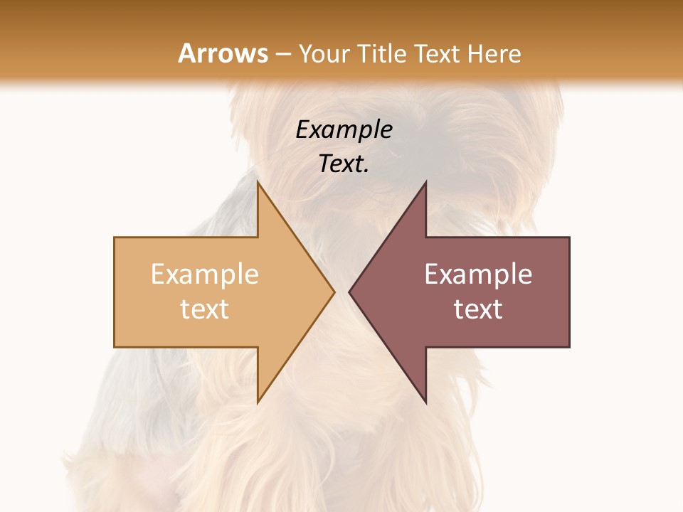 Cute Small Yorkshire PowerPoint Template