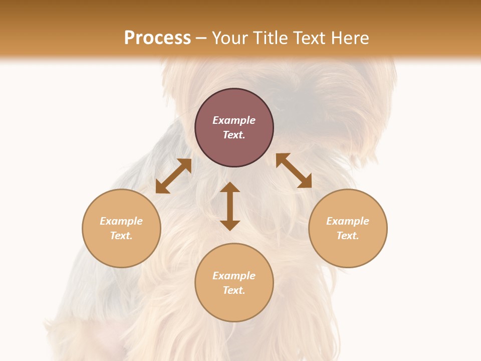 Cute Small Yorkshire PowerPoint Template