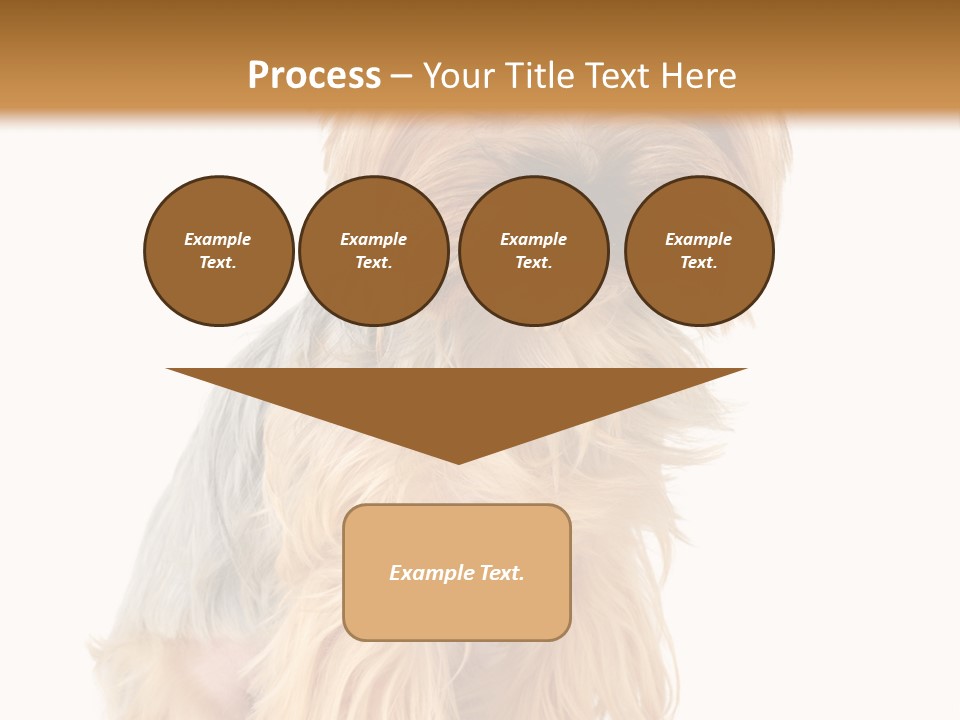 Cute Small Yorkshire PowerPoint Template