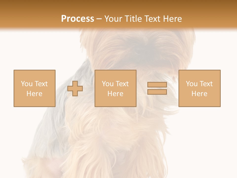 Cute Small Yorkshire PowerPoint Template