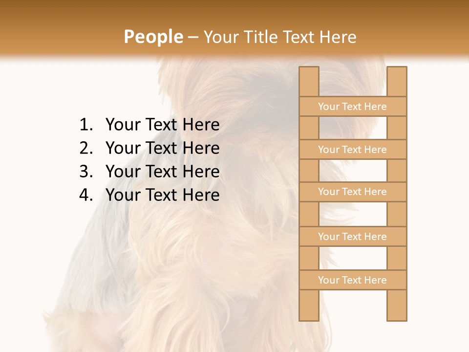 Cute Small Yorkshire PowerPoint Template
