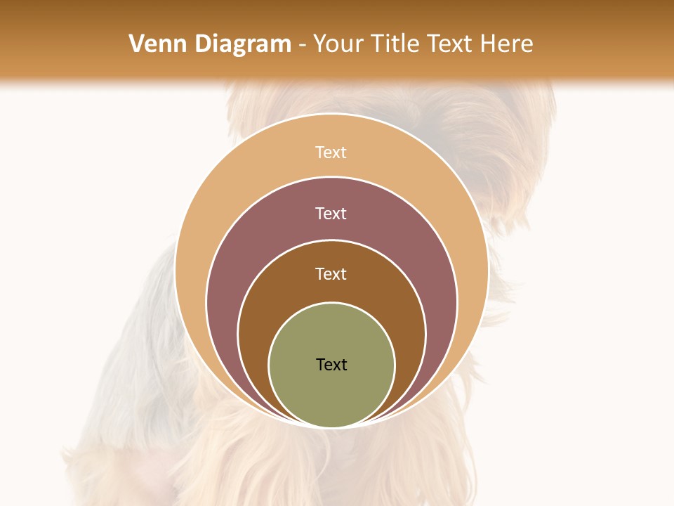 Cute Small Yorkshire PowerPoint Template