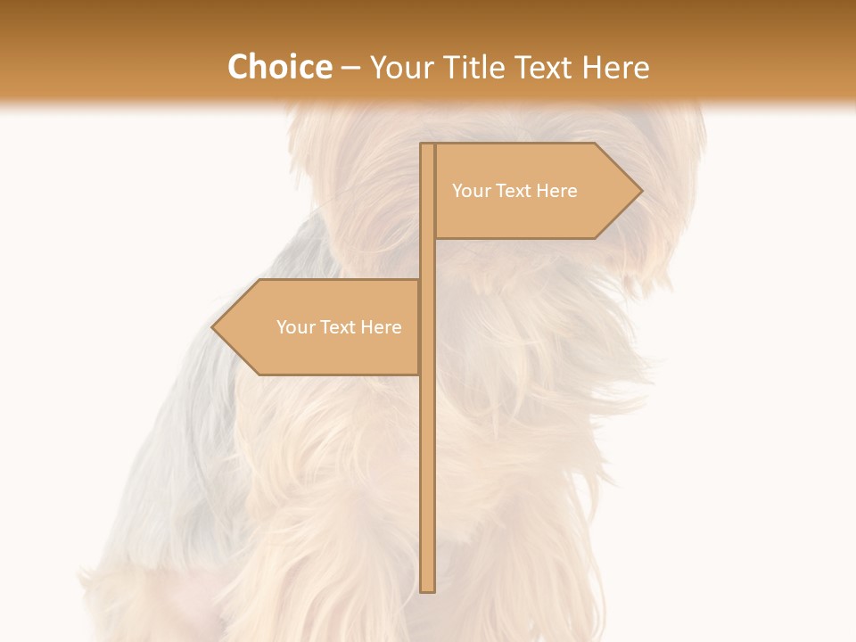 Cute Small Yorkshire PowerPoint Template