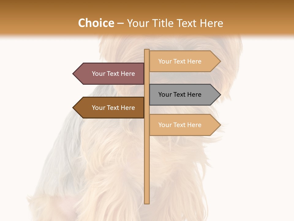 Cute Small Yorkshire PowerPoint Template