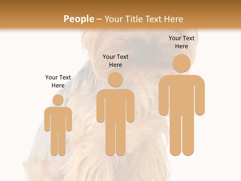 Cute Small Yorkshire PowerPoint Template