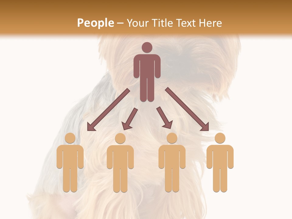 Cute Small Yorkshire PowerPoint Template