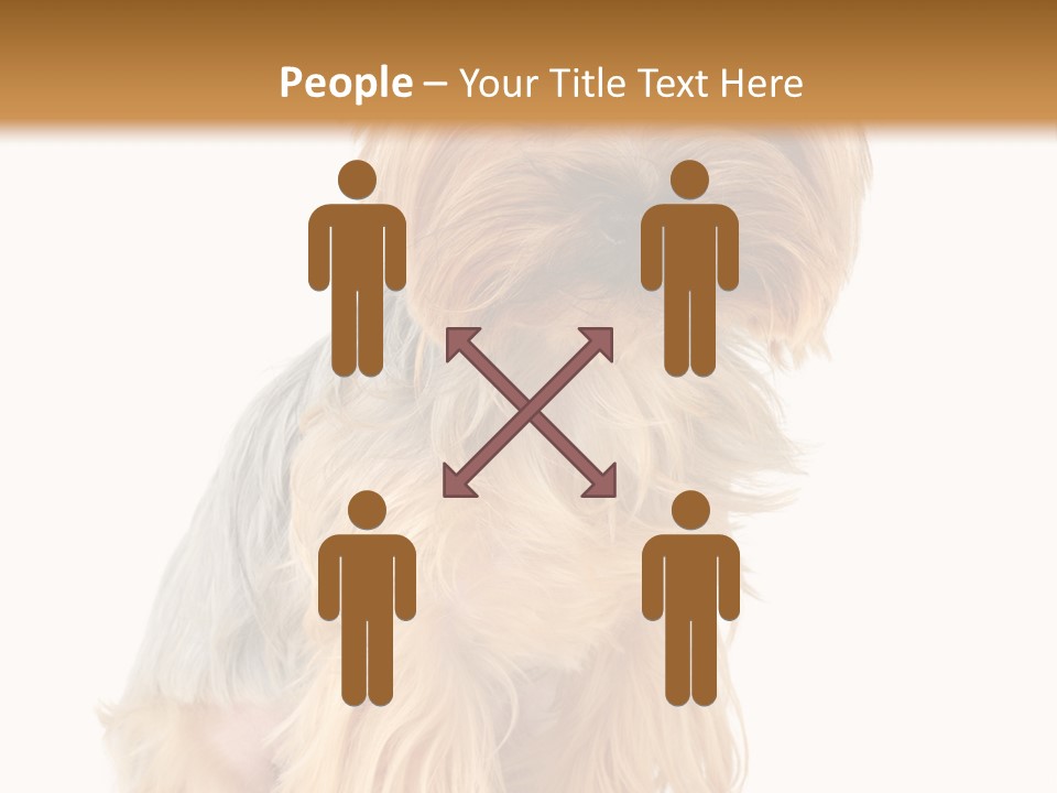 Cute Small Yorkshire PowerPoint Template