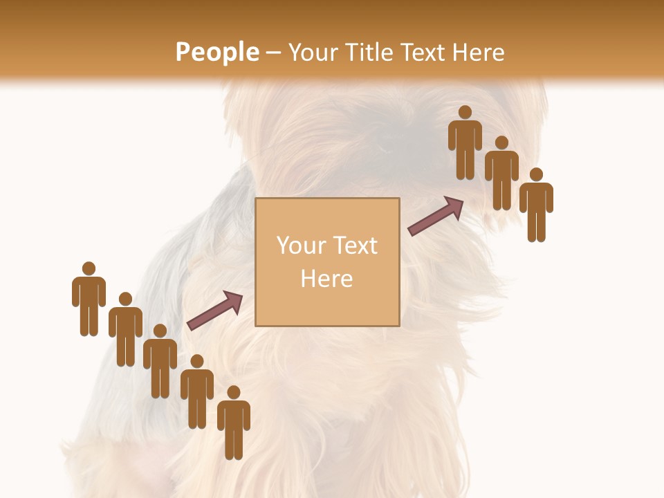 Cute Small Yorkshire PowerPoint Template