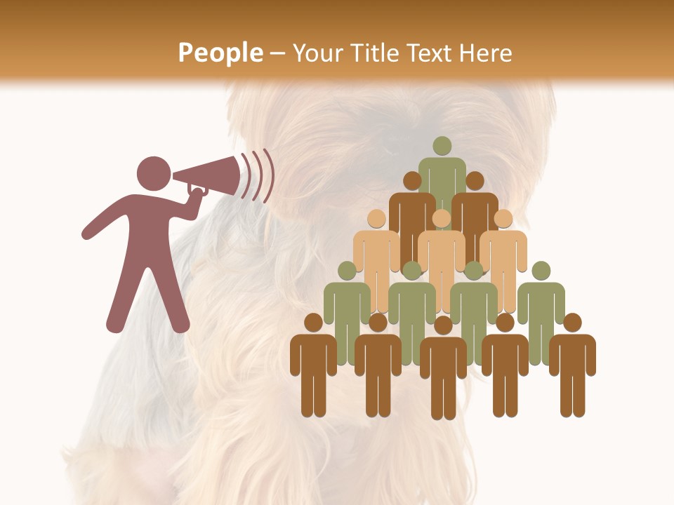 Cute Small Yorkshire PowerPoint Template