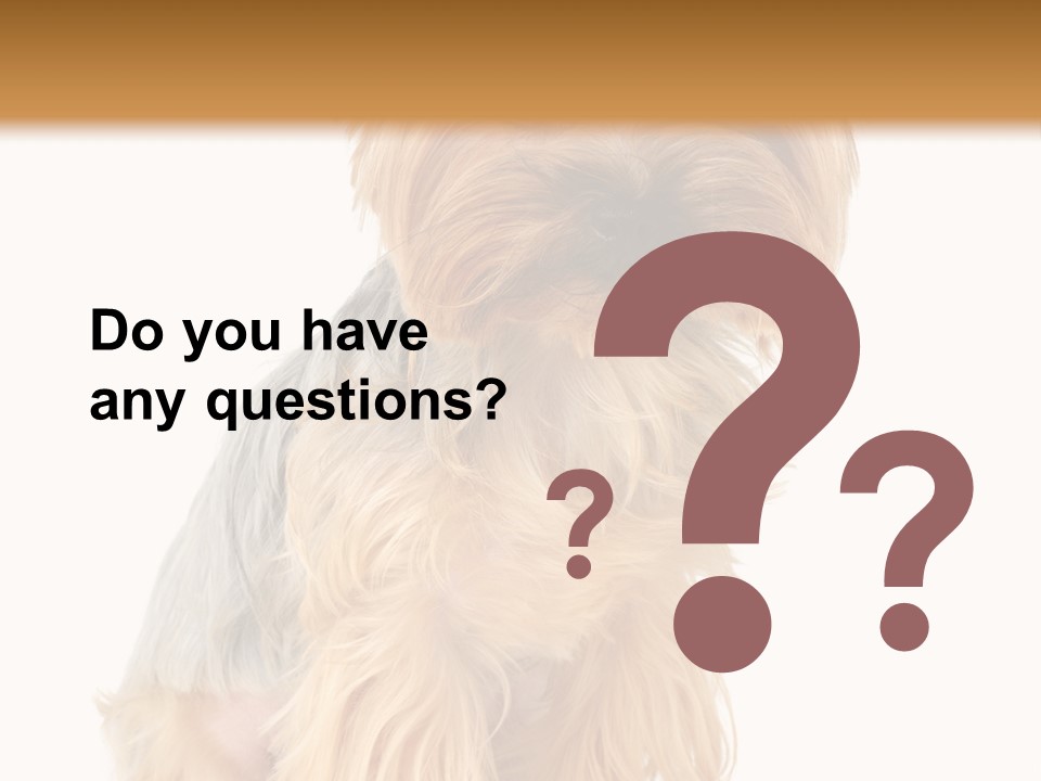 Cute Small Yorkshire PowerPoint Template