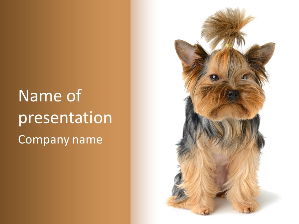 Canine Grooming Mini PowerPoint Template