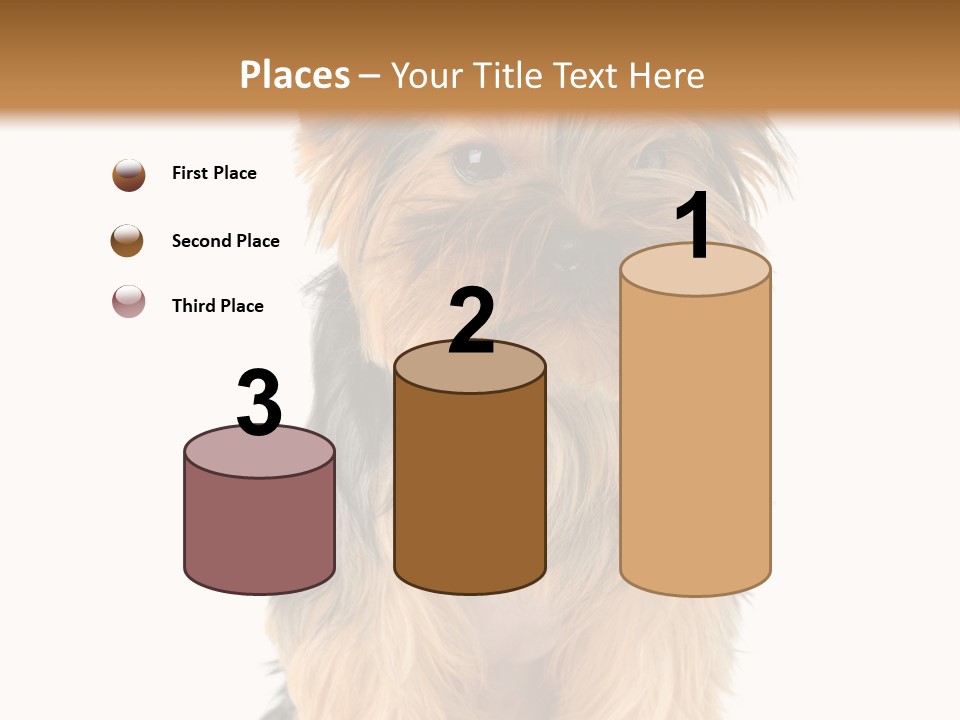 Canine Grooming Mini PowerPoint Template