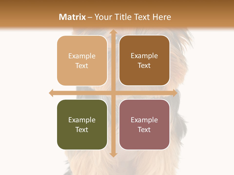 Canine Grooming Mini PowerPoint Template