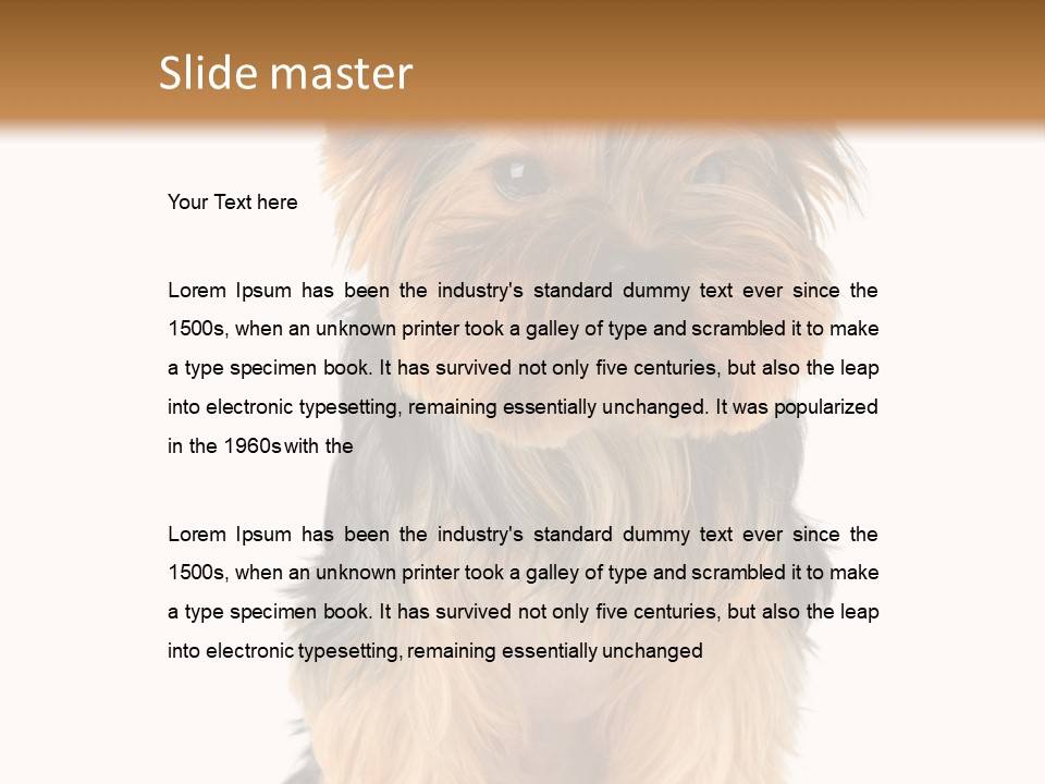 Canine Grooming Mini PowerPoint Template