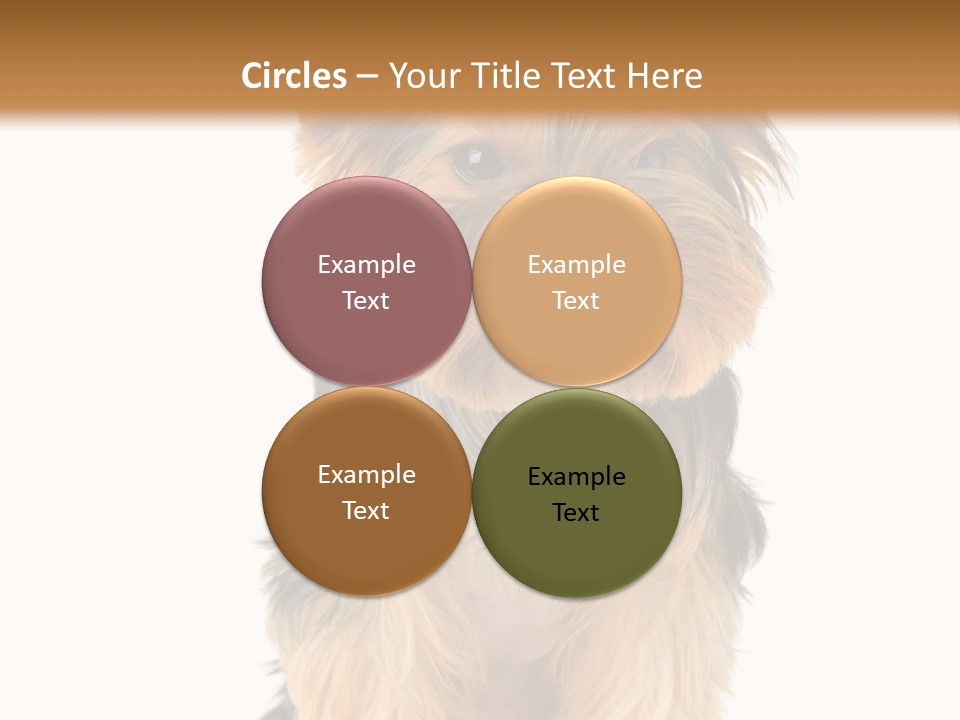 Canine Grooming Mini PowerPoint Template