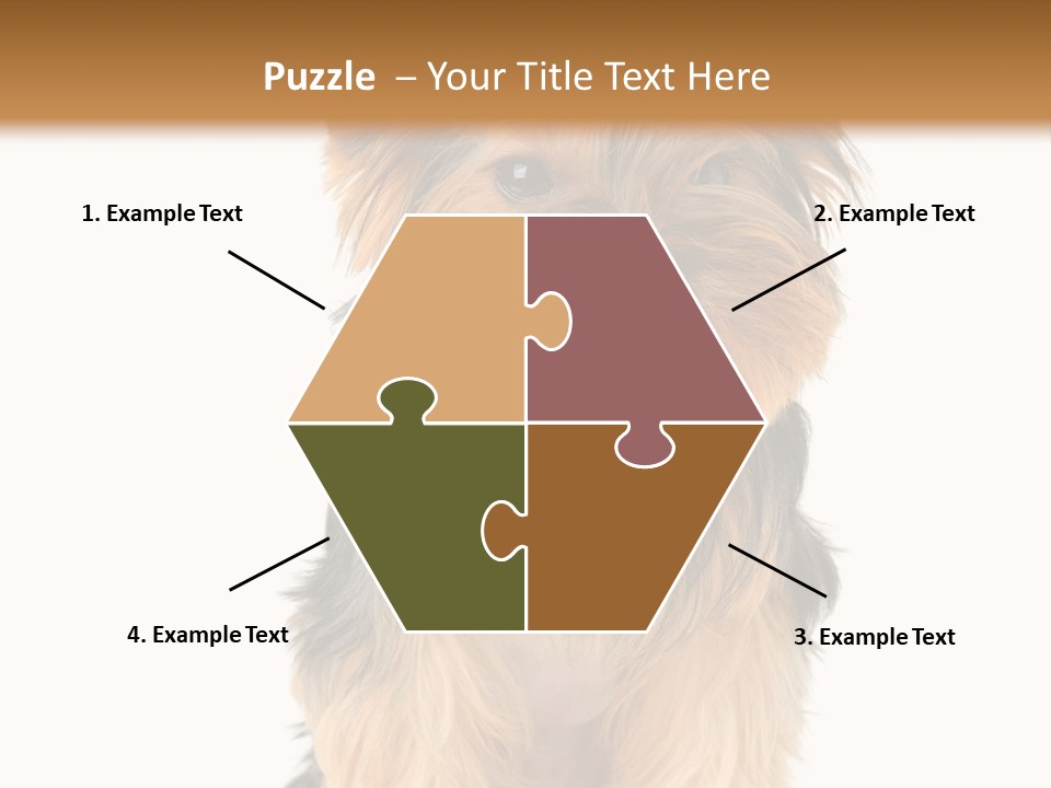 Canine Grooming Mini PowerPoint Template