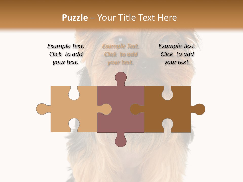 Canine Grooming Mini PowerPoint Template