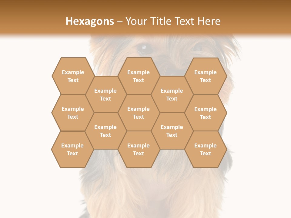 Canine Grooming Mini PowerPoint Template