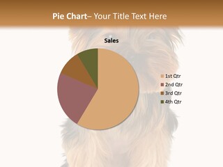 Canine Grooming Mini PowerPoint Template