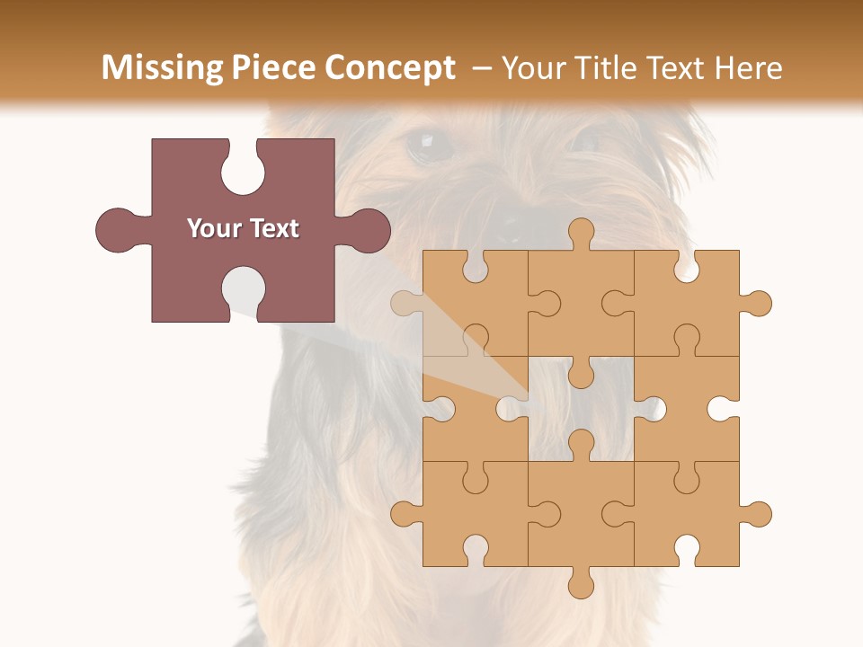 Canine Grooming Mini PowerPoint Template