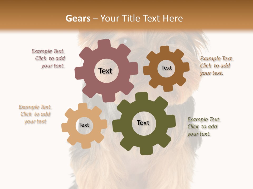 Canine Grooming Mini PowerPoint Template