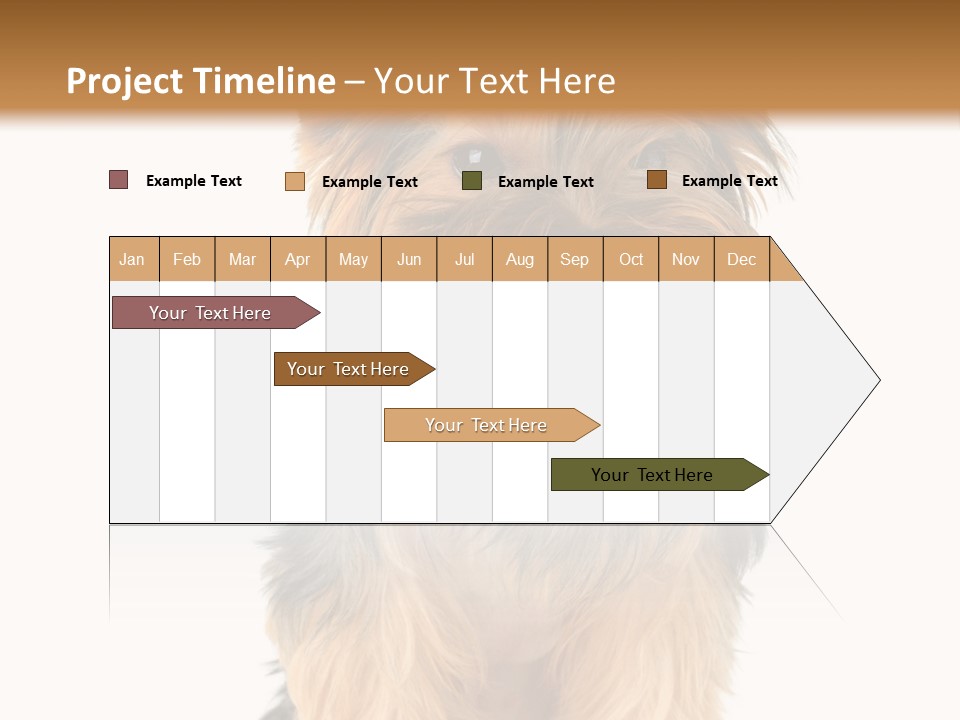 Canine Grooming Mini PowerPoint Template