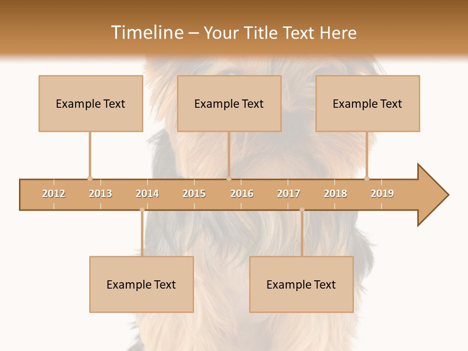 Canine Grooming Mini PowerPoint Template